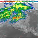 WhatsApp Image 2025-01-17 at 07.46.45