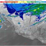 WhatsApp Image 2025-01-21 at 07.45.25