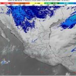 WhatsApp Image 2025-01-24 at 07.11.52