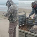 WhatsApp Image 2025-01-24 at 09.30.44