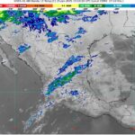 WhatsApp Image 2025-01-25 at 08.43.20