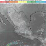 WhatsApp Image 2025-02-06 at 07.04.35 (1)