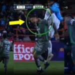 WhatsApp Image 2025-02-06 at 08.22.38