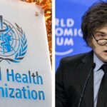 WhatsApp Image 2025-02-06 at 09.44.37