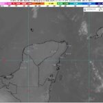 WhatsApp Image 2025-02-12 at 07.10.40