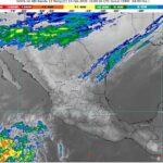 WhatsApp Image 2025-02-13 at 07.03.17