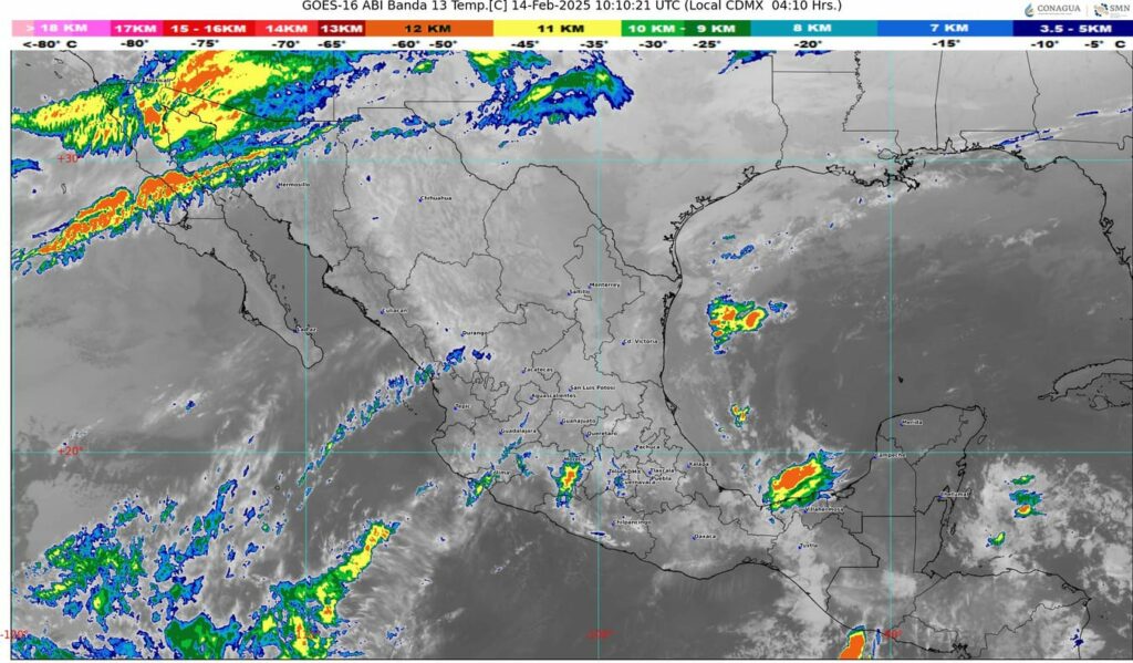 WhatsApp Image 2025-02-14 at 07.07.48