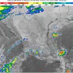 WhatsApp Image 2025-02-14 at 07.07.48