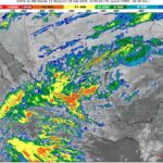 WhatsApp Image 2025-02-18 at 07.11.23 (1)