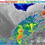 WhatsApp Image 2025-02-19 at 06.59.09