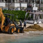 WhatsApp Image 2025-02-19 at 09.49.25