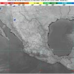 WhatsApp Image 2025-03-11 at 07.14.10