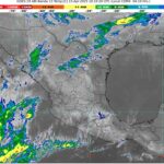 WhatsApp Image 2025-04-15 at 07.33.59