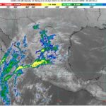 WhatsApp Image 2025-04-16 at 08.07.49