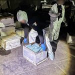 WhatsApp Image 2025-04-17 at 08.06.48