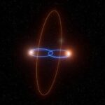 WhatsApp Image 2025-04-17 at 08.54.00