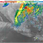 WhatsApp Image 2025-04-19 at 08.30.58