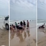 WhatsApp Image 2025-04-19 at 11.32.32