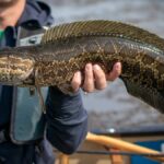 WhatsApp Image 2025-04-24 at 11.15.07