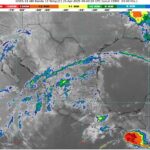 WhatsApp Image 2025-04-25 at 07.13.33