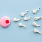 WhatsApp Image 2025-04-25 at 10.03.45