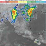 WhatsApp Image 2025-04-28 at 07.28.04