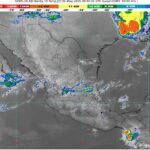 WhatsApp Image 2025-05-01 at 07.36.50