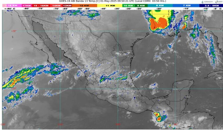 WhatsApp Image 2025-05-01 at 07.36.50