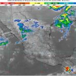 WhatsApp Image 2025-05-02 at 07.27.45