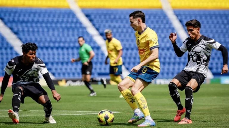 WhatsApp Image 2025-05-04 at 17.43.22