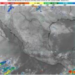 WhatsApp Image 2025-05-05 at 07.44.36