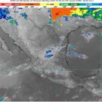 WhatsApp Image 2025-05-06 at 07.50.20