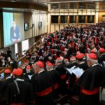 WhatsApp Image 2025-05-06 at 08.49.50