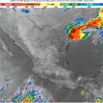 WhatsApp Image 2025-05-07 at 07.43.34