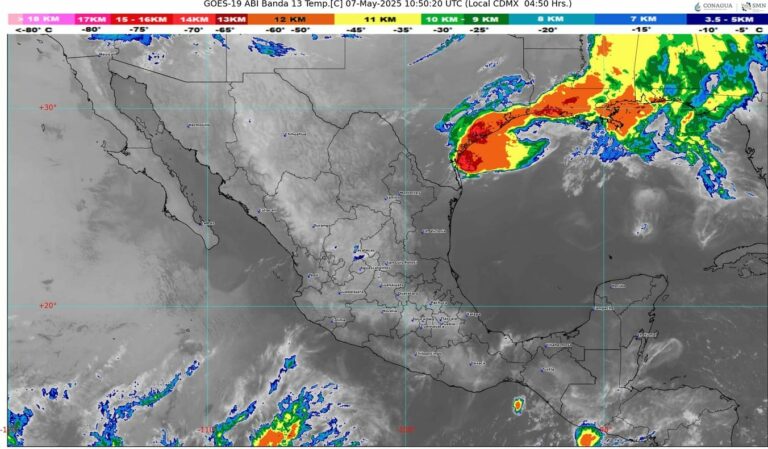 WhatsApp Image 2025-05-07 at 07.43.34