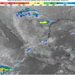 WhatsApp Image 2025-05-08 at 07.13.11