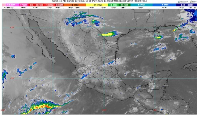 WhatsApp Image 2025-05-08 at 07.13.11