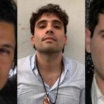 WhatsApp Image 2025-05-10 at 08.57.34