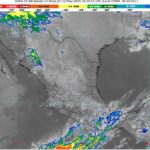 WhatsApp Image 2025-05-12 at 07.11.38