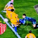 WhatsApp Image 2025-05-12 at 08.53.55