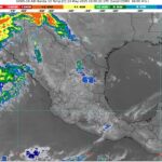 WhatsApp Image 2025-05-13 at 07.28.45