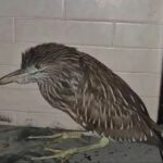 WhatsApp Image 2025-05-13 at 12.24.47