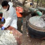 WhatsApp Image 2025-05-15 at 09.48.00