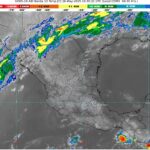 WhatsApp Image 2025-05-16 at 07.12.12 (1)