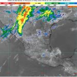 WhatsApp Image 2025-05-17 at 07.09.34