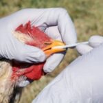 WhatsApp Image 2025-05-17 at 14.20.51