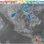 WhatsApp Image 2025-05-19 at 07.27.36