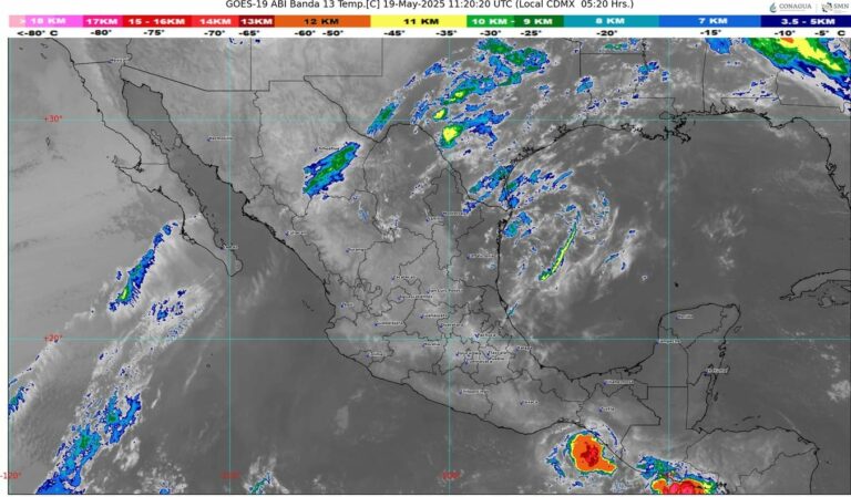 WhatsApp Image 2025-05-19 at 07.27.36