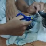 WhatsApp Image 2025-05-19 at 08.32.18