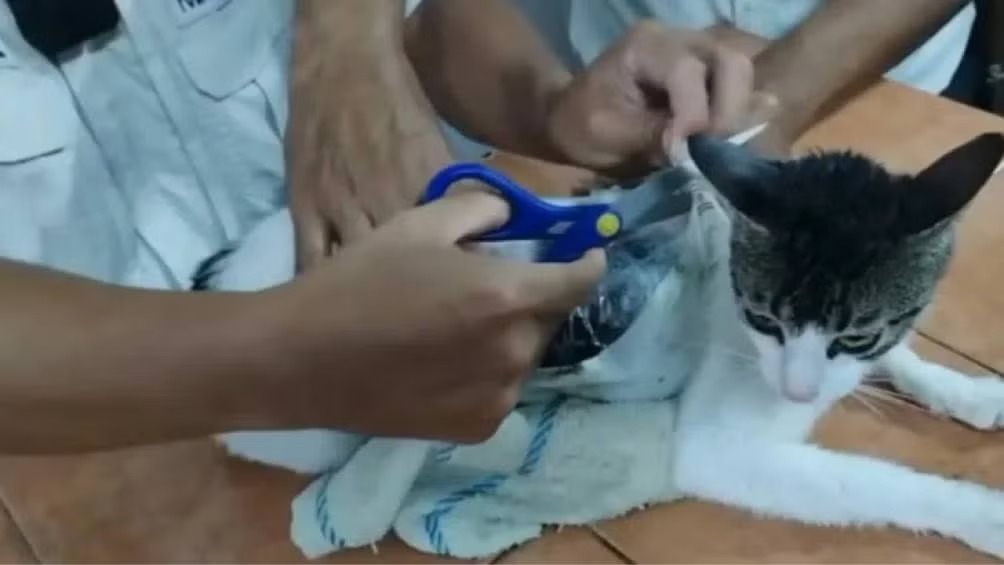 WhatsApp Image 2025-05-19 at 08.32.18